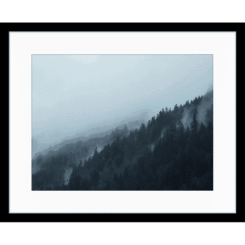 Intrepid Landscape