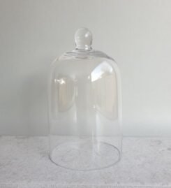 Alternative view of Glass Cloche
