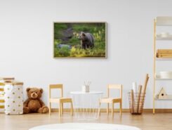 Alternative view of Wall Art Photography Brown Bear in the Woods