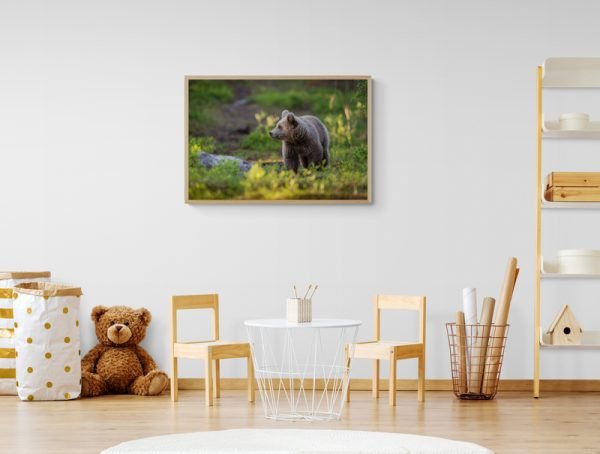 Wall Art Photography Brown Bear in the Woods - Image 2