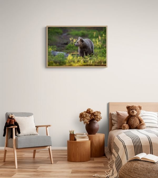 Wall Art Photography Brown Bear in the Woods - Image 3