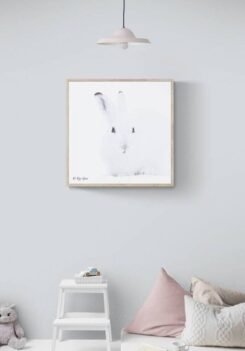 Alternative view of Wall Art Photography Mountain Hare