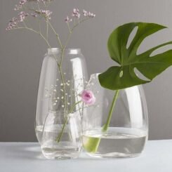 Hand Blown Glass Vase Siccori Clear